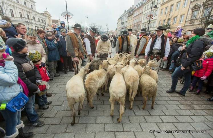 2xaugxufvb2j5iglsbhopek56195